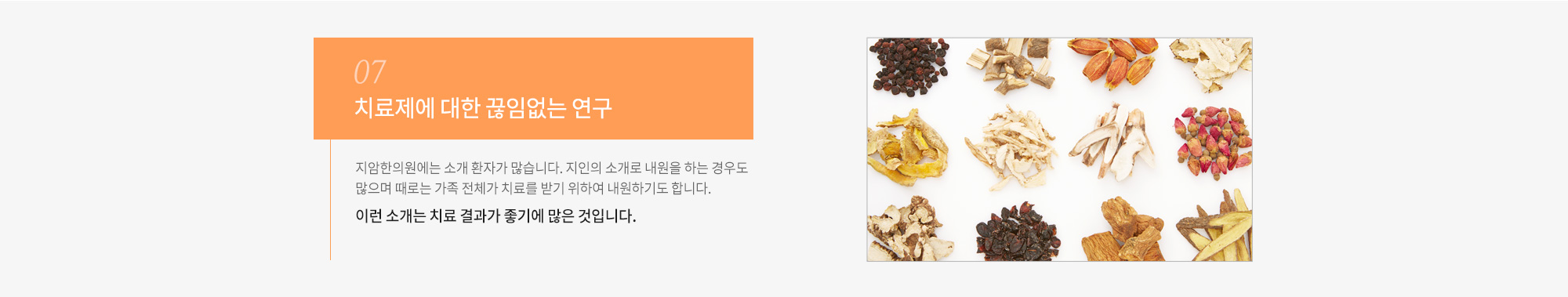 치료제에 대한 끊임없는 연구