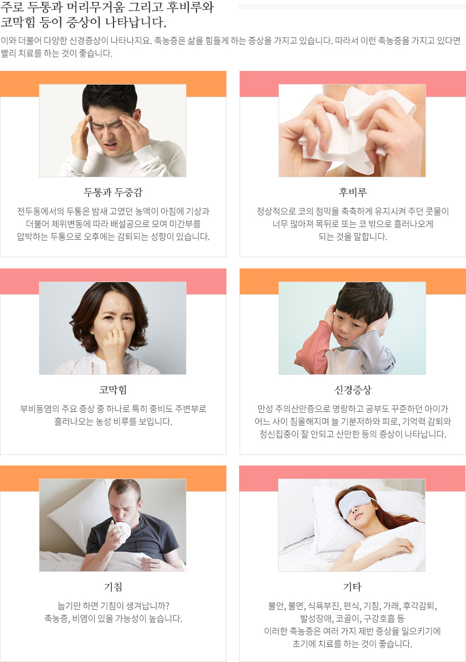 축농증 동반증상