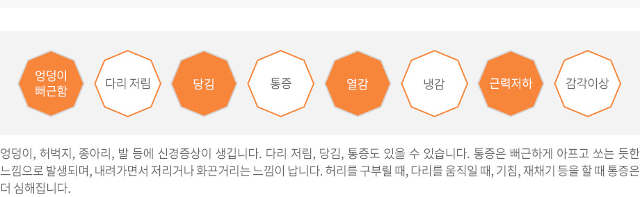 좌골신경통 대표적인 증상