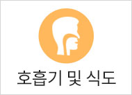 호흡기 및 식도